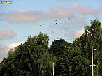 2011-08-28-064.jpg