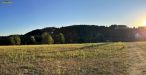 IMG_6265-6266.jpg