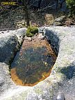 IMG_0555.jpg
