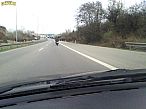 2012-04-01-008.jpg