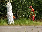 2012-07-08-159.jpg