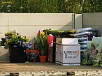 2012-07-08-319.jpg
