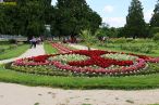 2026-07-11-025.jpg